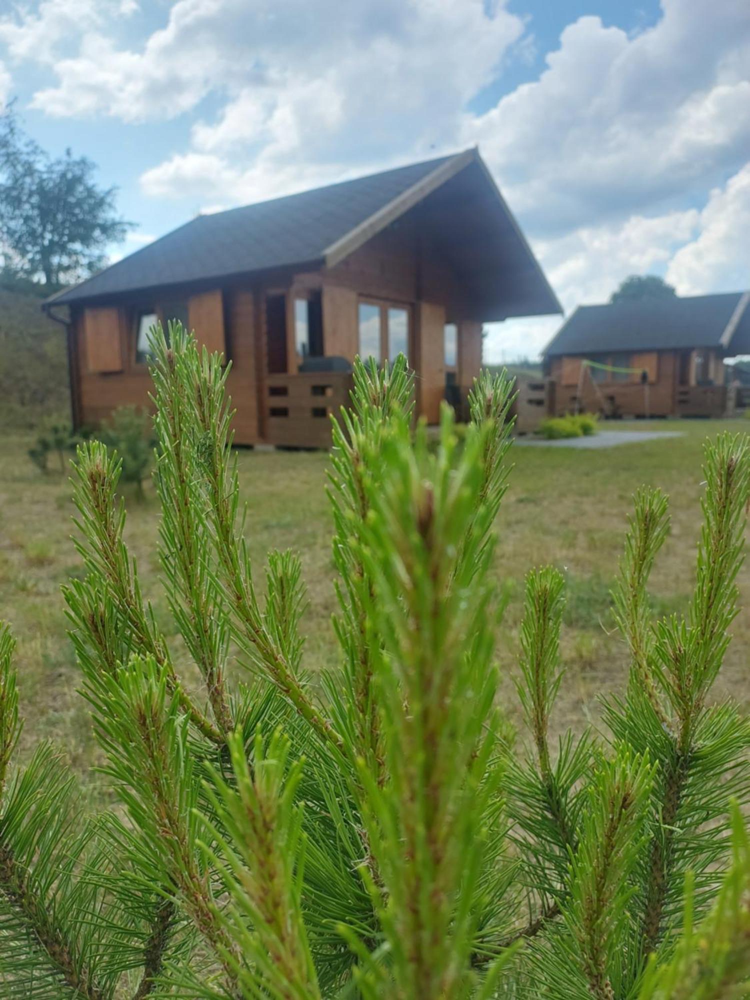 Kaszubskie Laki Domek Nr 4 Lakie Exterior foto